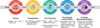 Unraveling the impact of water deficit stress on nutritional quality and defense response of tomato genotypes